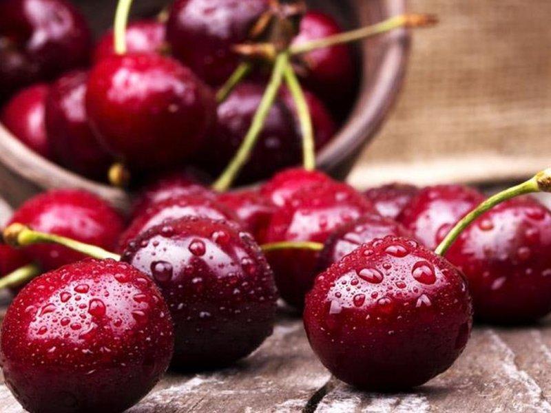 Вишня купить саженцы из питомника в Туапсе